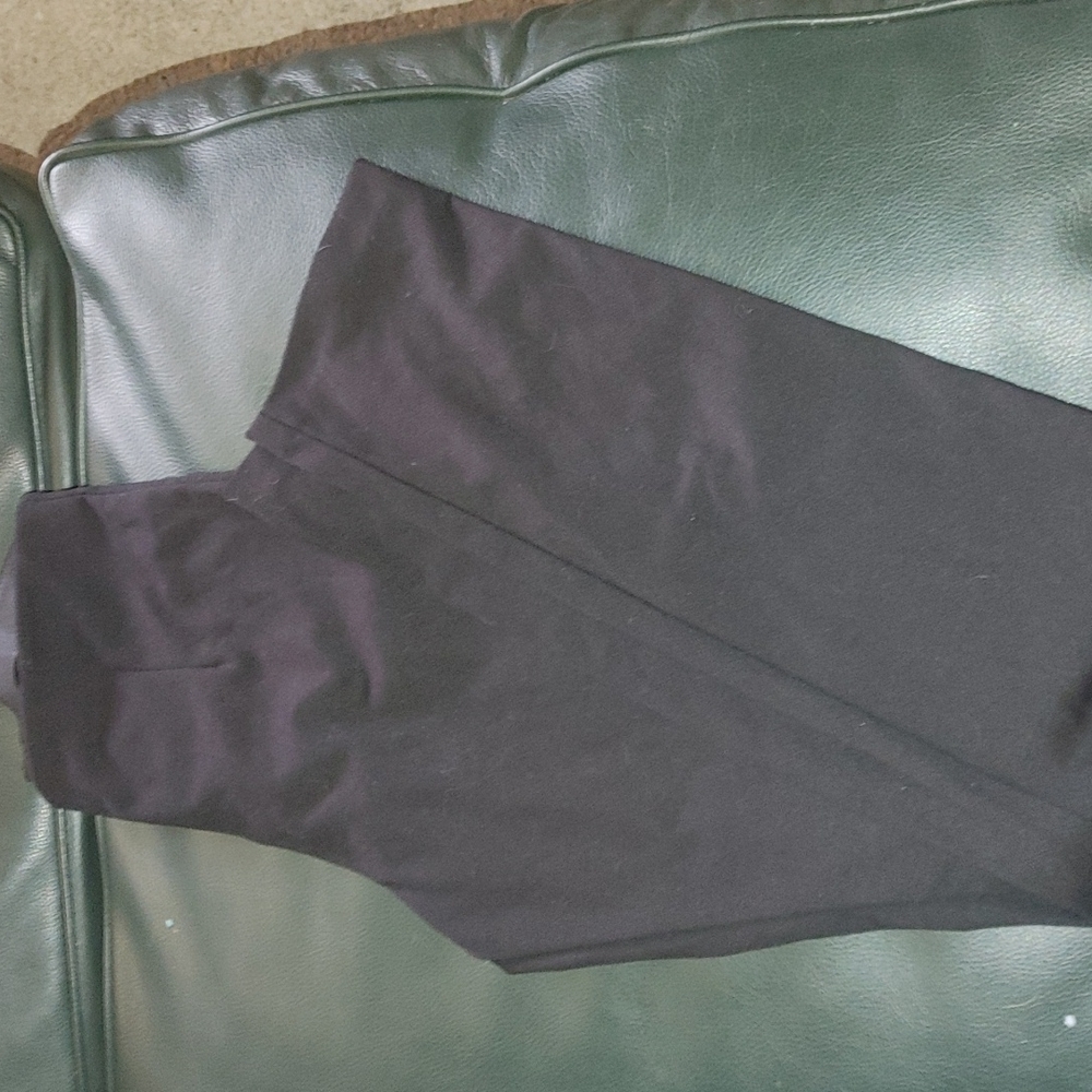 Equestrian Elegant Pants - image 1